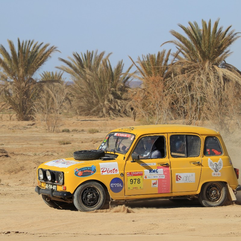 TDF 24V EX IP